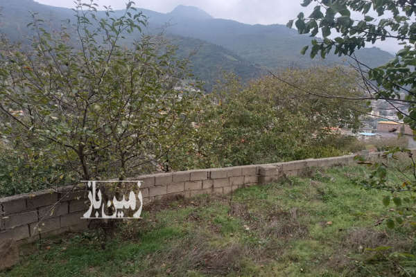 زمین ۲۵۰ متر در پل سفید دارای پروانه ساخت-1