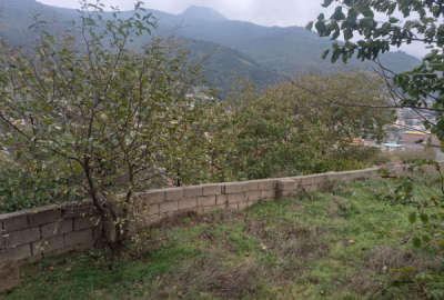 زمین ۲۵۰ متر در پل سفید دارای پروانه ساخت