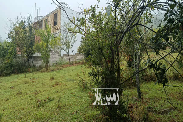 زمین مسکونی برای ساخت ویلا ۳۰۰ متر تالش-2