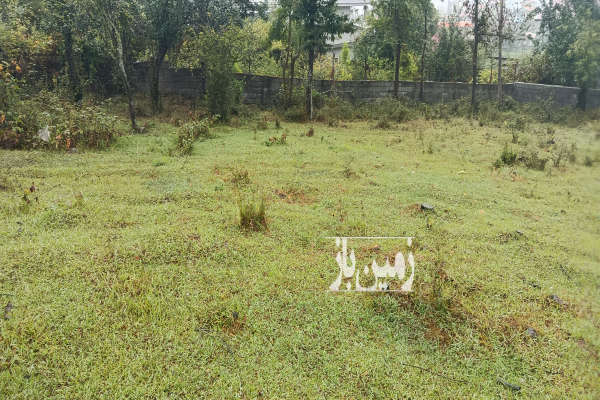 زمین مسکونی برای ساخت ویلا ۳۰۰ متر تالش-3