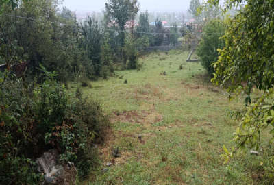 زمین مسکونی برای ساخت ویلا ۳۰۰ متر تالش