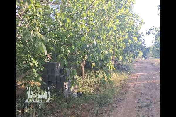 فروش باغ ۱۰۰۰ متر بر خیابان-2