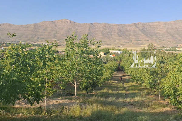 فروش باغ ۱۰۰۰ متر بر خیابان-3