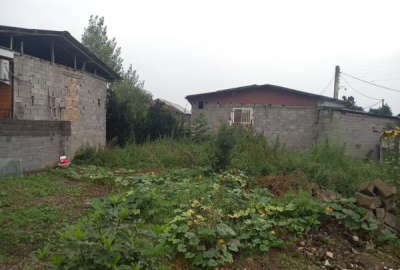 یک قطعه زمین به مساحت ۱۳۰ متر قایمشهر قادیکلا بزرگ