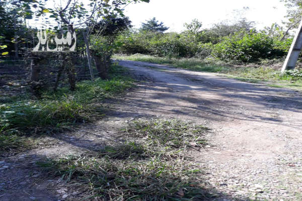 فروش زمین مسکونی صومعه سرا پشتمسار ۳۱۰ متر-2