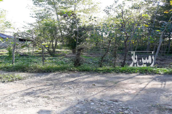 فروش زمین مسکونی صومعه سرا پشتمسار ۳۱۰ متر-3