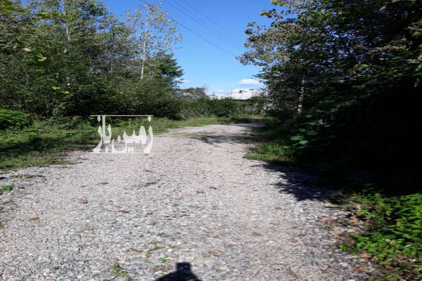 فروش زمین مسکونی صومعه سرا پشتمسار ۳۱۰ متر-4