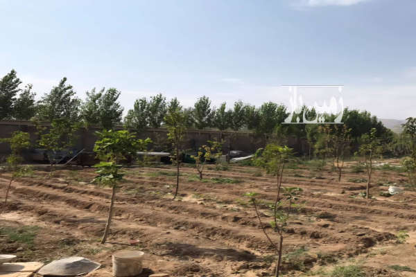 زمین چهاردیواری گل کوهسار با چاه آب قنات ۱۰۵۰ متر-3