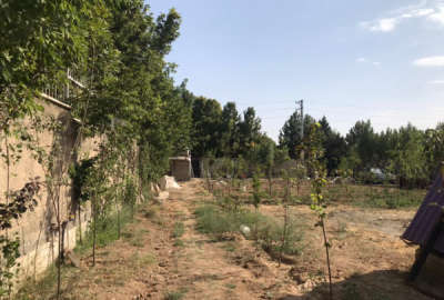 زمین چهاردیواری گل کوهسار با چاه آب قنات ۱۰۵۰ متر