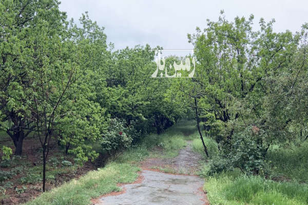 باغ میوه با ابنیه و انشعابات ۴۲۵۰ متر-1