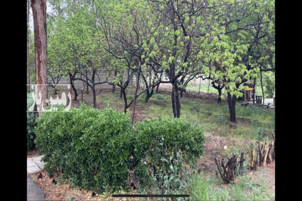 باغ میوه با ابنیه و انشعابات ۴۲۵۰ متر-3