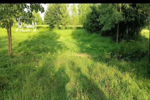 زمین مسکونی و مجوز ساخت ۱۵۰۰ متر روستای پلکو-2