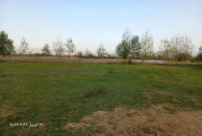 زمین مسکونی و مجوز ساخت ۱۵۰۰ متر روستای پلکو