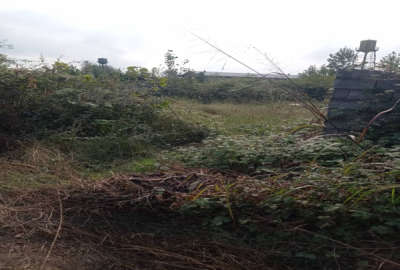 زمین در بافت مسکونی روستای نقره ده بر خیابان ۲۸۰ متر