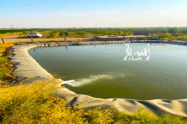 باغ بادام استخر دار آبیک بعد از روستای زرگر ۴۵۰۰ متر-2