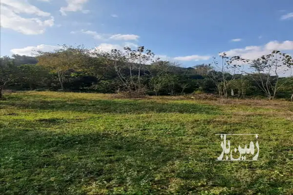زمین مسکونی ویو دریا و کوه روستای رانکوه ۳۰۰۰ متر - تصویر 3