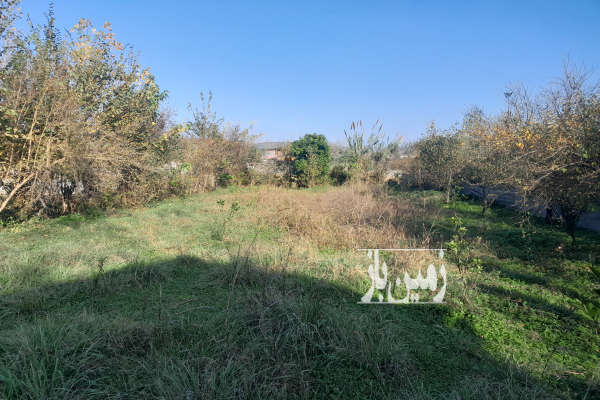 زمین باغ در شیرگاه آهنگرکلا ۱۲۰۰ متر-1