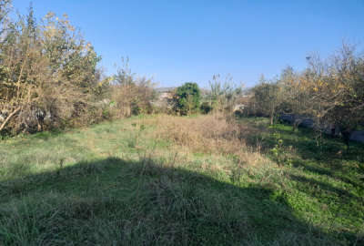 زمین باغ در شیرگاه آهنگرکلا ۱۲۰۰ متر