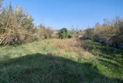 زمین باغ در شیرگاه آهنگرکلا ۱۲۰۰ متر