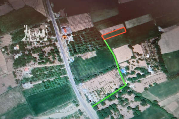 زمین کشاورزی روستای ینگیج ۱۰۰۰ متر-2