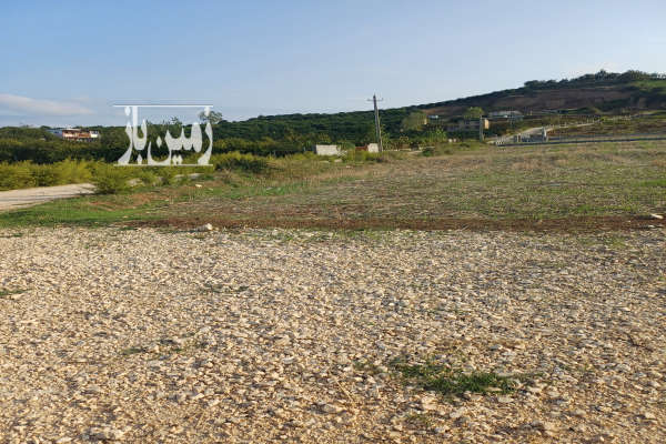 فروش فوری زمین در موزی باغ ۳۰۰۰ متر-3