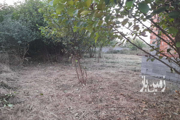 فروش زمین در بهارستان جنوبی هَلستان ۲۵۰ متر-3