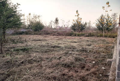 فروش زمین در بهارستان جنوبی هَلستان ۲۵۰ متر