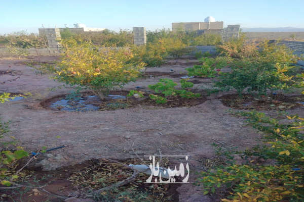 فروش باغ ۵۵۰ متری قابل معاوضه در یاقوت آباد-2