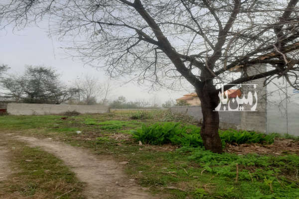 زمین فوق العاده روستای سادات محله بارکوسرا ۵۸۰ متر-4