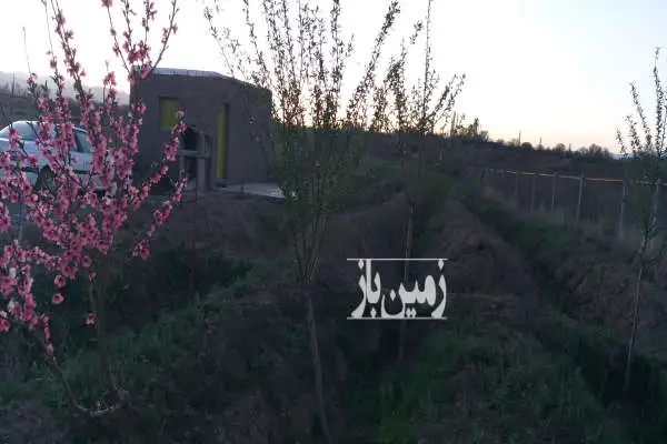 باغ میوه با آب و خونه باغ ابهر شکرک ۱۰۰۰ متر - تصویر 2
