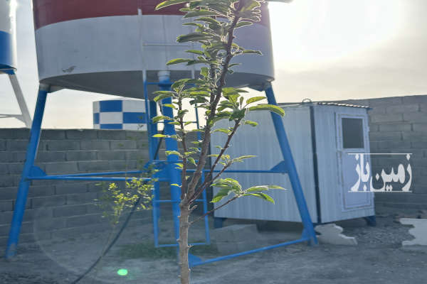 فروش فوری زمین موقعیت عالی حصار مهتر ۴۰۰ متر-2