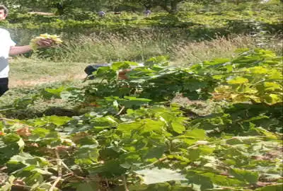 باغ در چهل میر ابهر با آب ۱۲۰۰ متر