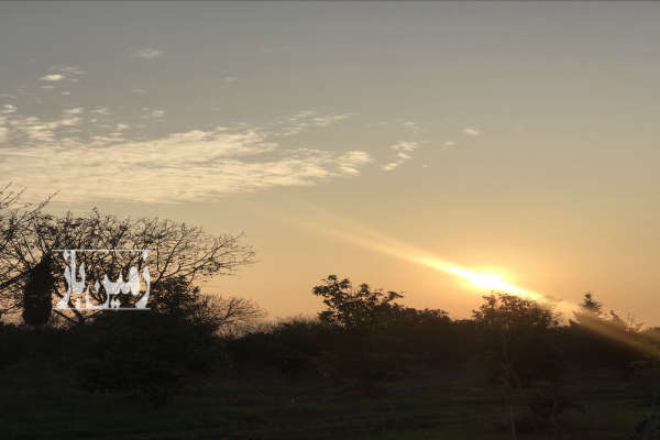 زمین ۹۰۰۰ متر در ریحان اباد با چاه اب دستی-1