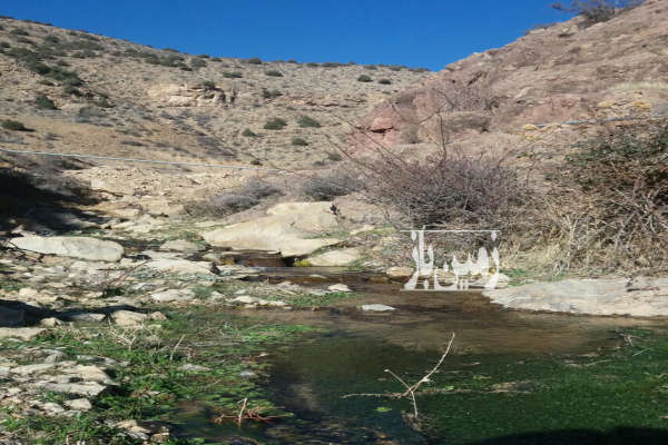 زمین کشاورزی نزدیک رودخانه نزدیک جیرنده ۲۰۰۰ متر-1
