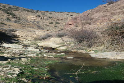 زمین کشاورزی نزدیک رودخانه نزدیک جیرنده ۲۰۰۰ متر