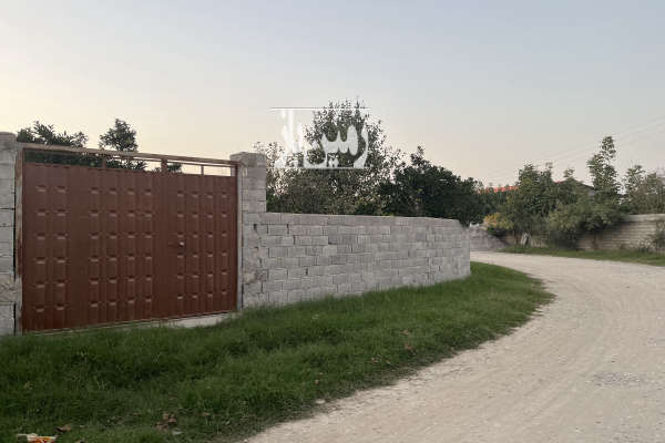 باغ ۵۰۰ متر مسکونی در جاده کیاکلا روستا شیرخوارکلا-1