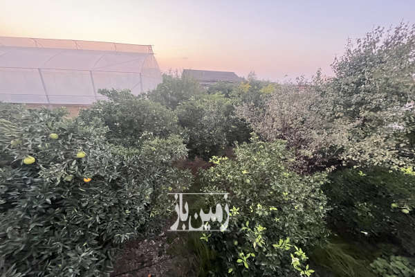 باغ ۵۰۰ متر مسکونی در جاده کیاکلا روستا شیرخوارکلا-3