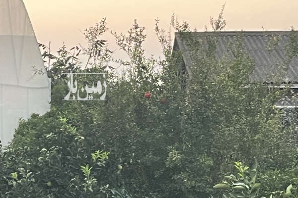 باغ ۵۰۰ متر مسکونی در جاده کیاکلا روستا شیرخوارکلا-4