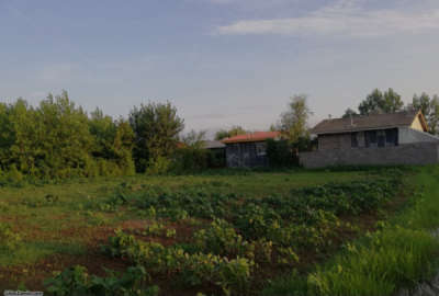 باغ مسکونی به متراژ ۳۸۲ متر روستای گیلوا