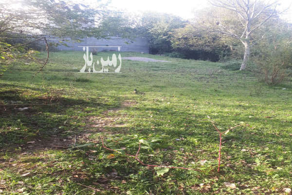 فروش زمین ۱۰۰۰ متر در روستای بشل بالای تپه-1