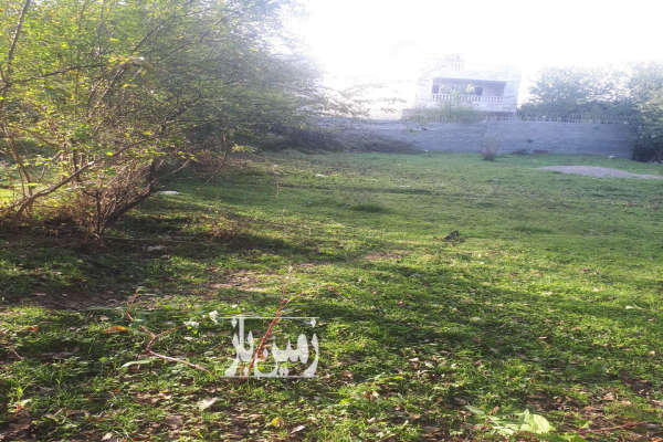 فروش زمین ۱۰۰۰ متر در روستای بشل بالای تپه-2