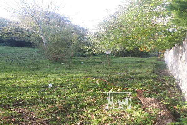 فروش زمین ۱۰۰۰ متر در روستای بشل بالای تپه-3