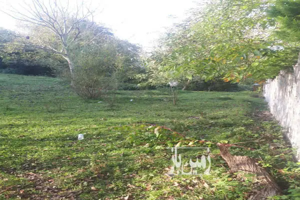 فروش زمین ۱۰۰۰ متر در روستای بشل بالای تپه - تصویر 3