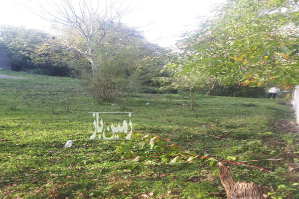 فروش زمین ۱۰۰۰ متر در روستای بشل بالای تپه-4