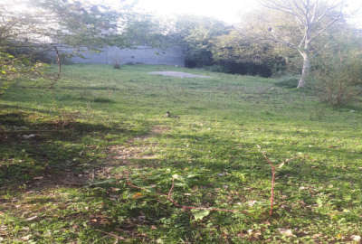 فروش زمین ۱۰۰۰ متر در روستای بشل بالای تپه