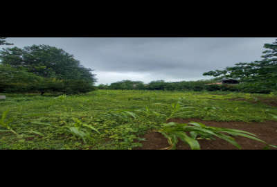 زمین باغی مسکونی سنگر روستای کنسستان ۲۰۰۰ متر