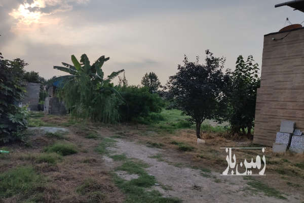 فروش زمین باغ گلابی وانواع درخت گلوگاه ۶۴۰۰ متر-4