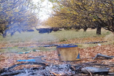 فروش باغ مراغه خداجو روستای صومعه سفلی ۷۵۶۰ متر