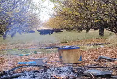 فروش باغ مراغه خداجو روستای صومعه سفلی ۷۵۶۰ متر