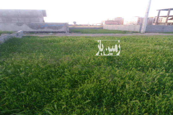 زمین مسکونی ۱۴۵ متری بلوارولایت-2